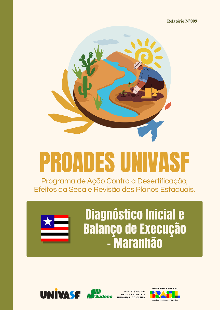 Diagnóstico 9
