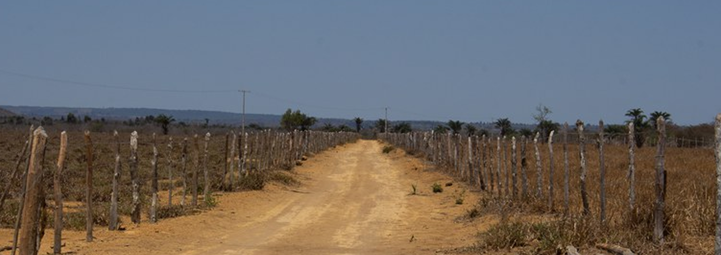 Sudene e Ministério do Meio Ambiente avançam na revisão dos Planos Estaduais de Combate à Desertificação