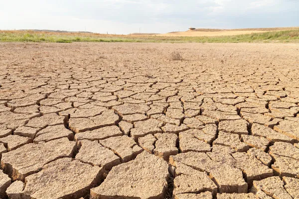 Dia Mundial de Combate à Seca e à Desertificação - PROADES/UNIVASF reforça a importância de políticas integradas diante da degradação dos solos no Semiárido