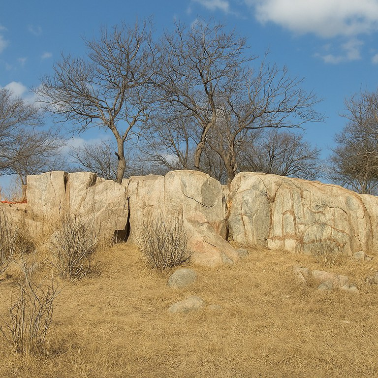 A Caatinga: Descoberta Vital para o Combate às Mudanças Climáticas e à Desertificação no Semiárido Brasileiro